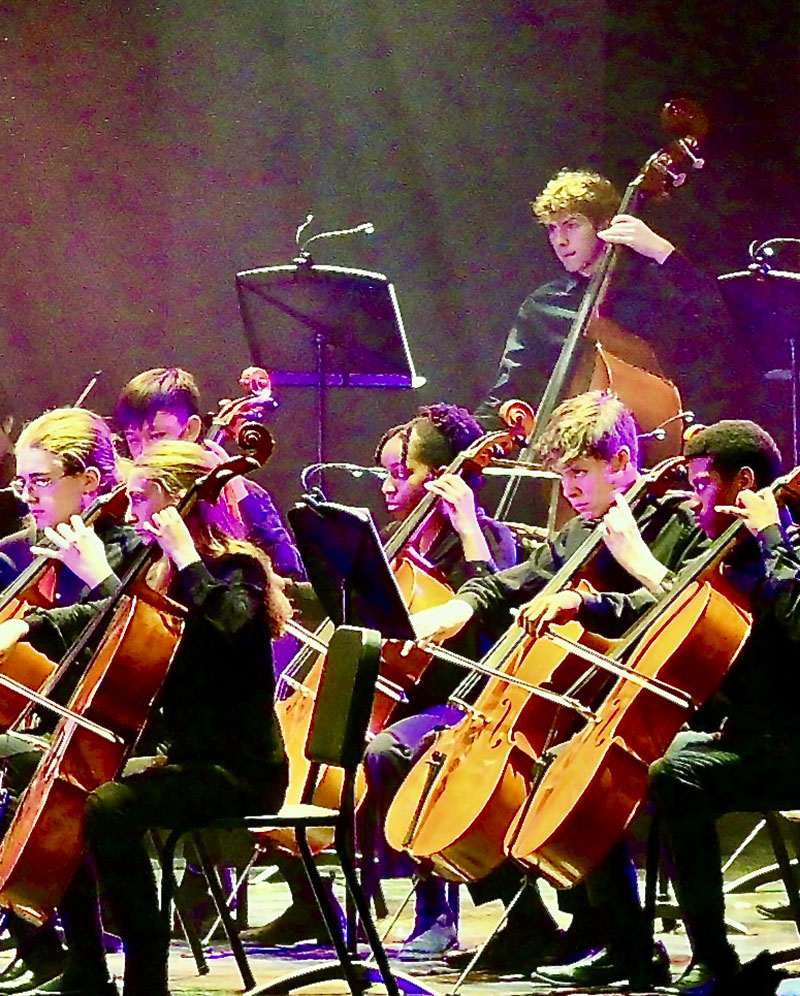 Orchestra Orchestra